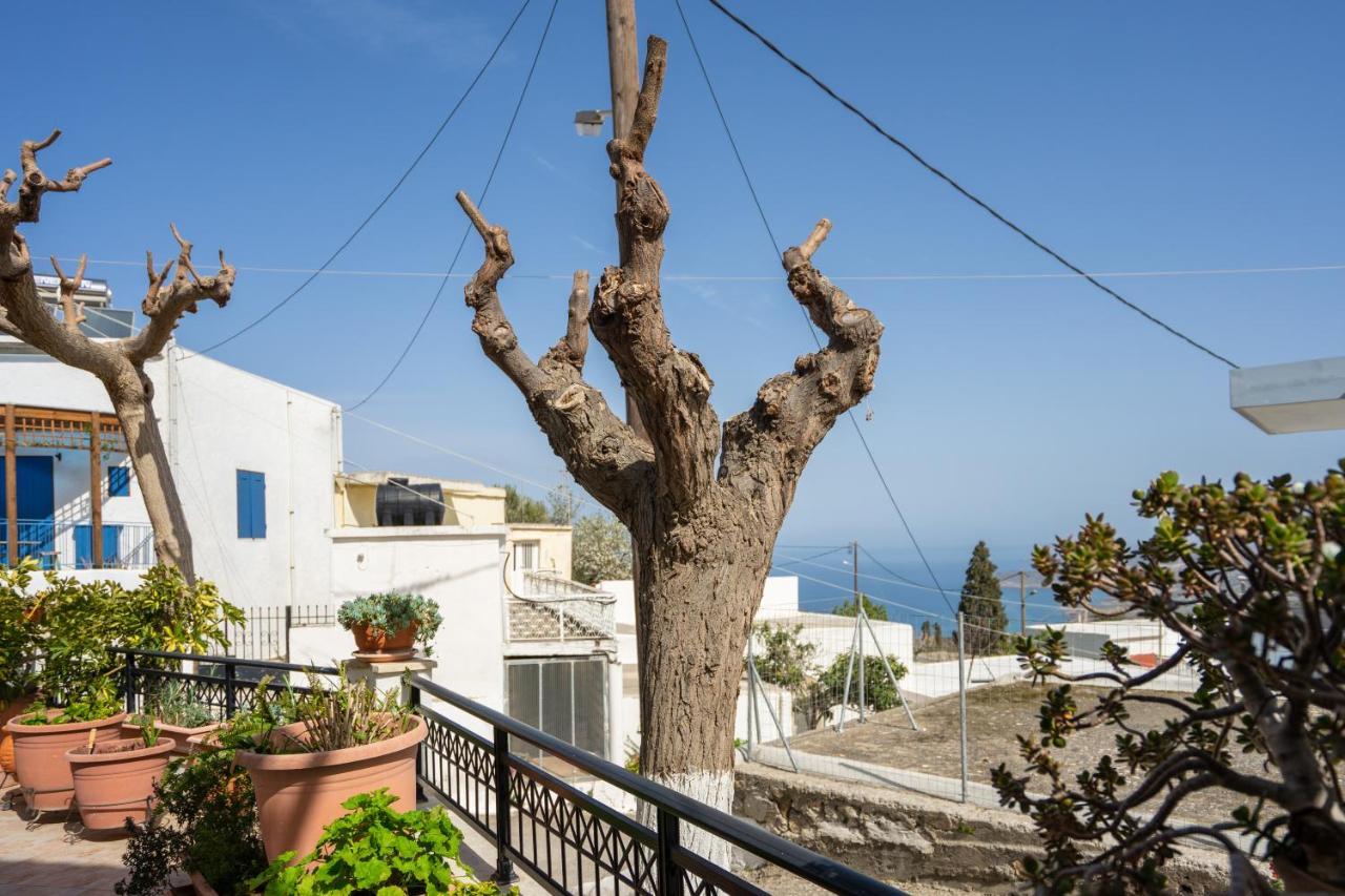Maisonette In Roussa Ekklisia Sitia  Exterior foto